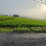 Bán đất Phường Ninh Thạnh 350m² 1 tỷ - Ảnh thu nhỏ 2