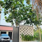 Nhà bán sân vườn Phường 3 76m² 1 tỷ 280 - Ảnh thu nhỏ 1