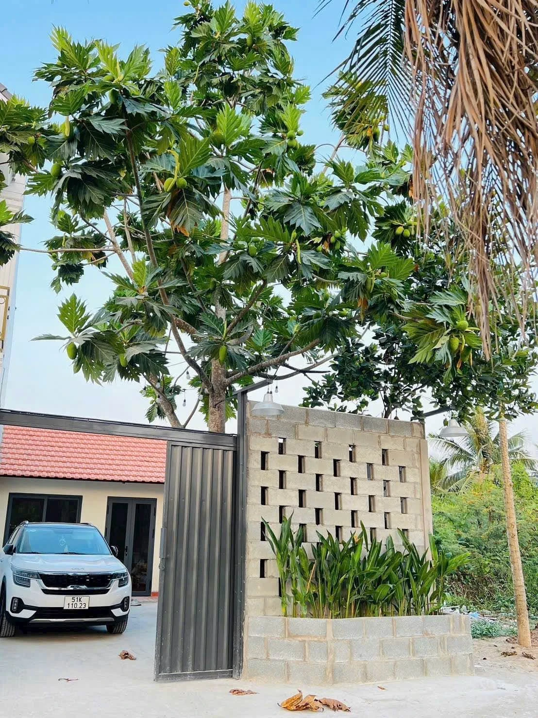 Nhà bán sân vườn Phường 3 76m² 1 tỷ 280 - Ảnh 1