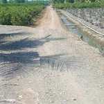 Bán 4000m² đất vườn giá 2 tỷ Tây Ninh - Ảnh thu nhỏ 5