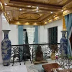 Bán nhà 3 tầng tân cổ điển mặt tiền Tăng Bạt Hổ 500m², 15,5 tỷ - Ảnh thu nhỏ 4