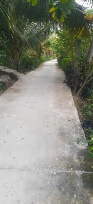 Bán 500m² đất vườn tặng nhà cấp 4 tại Mỹ An Thủ Thừa