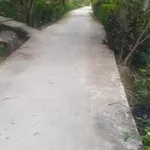 Bán 500m² đất vườn tặng nhà cấp 4 tại Mỹ An Thủ Thừa - Ảnh thu nhỏ 1