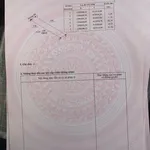 Bán đất 4,5ha tại Đắk R'La, Đắk Mil, Đắk Nông 2,5 tỷ - Ảnh thu nhỏ 2