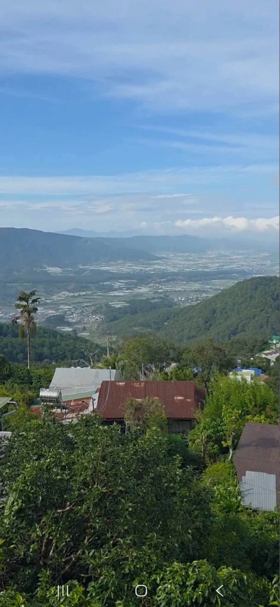 Bán đất 430m2 view săn mây Đà Lạt - Ảnh thu nhỏ 5
