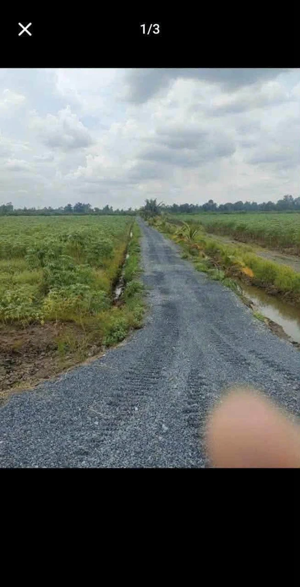 Bán 1000m² đất vườn Tân Thành Thủ Thừa 440 triệu - Ảnh thu nhỏ 2
