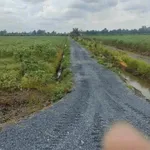 Bán 1000m² đất vườn Tân Thành Thủ Thừa 440 triệu - Ảnh thu nhỏ 2