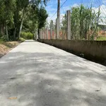 Bán đất nền Xã Tiên Thuỷ 238.9m2 mặt tiền hẻm - Ảnh thu nhỏ 2