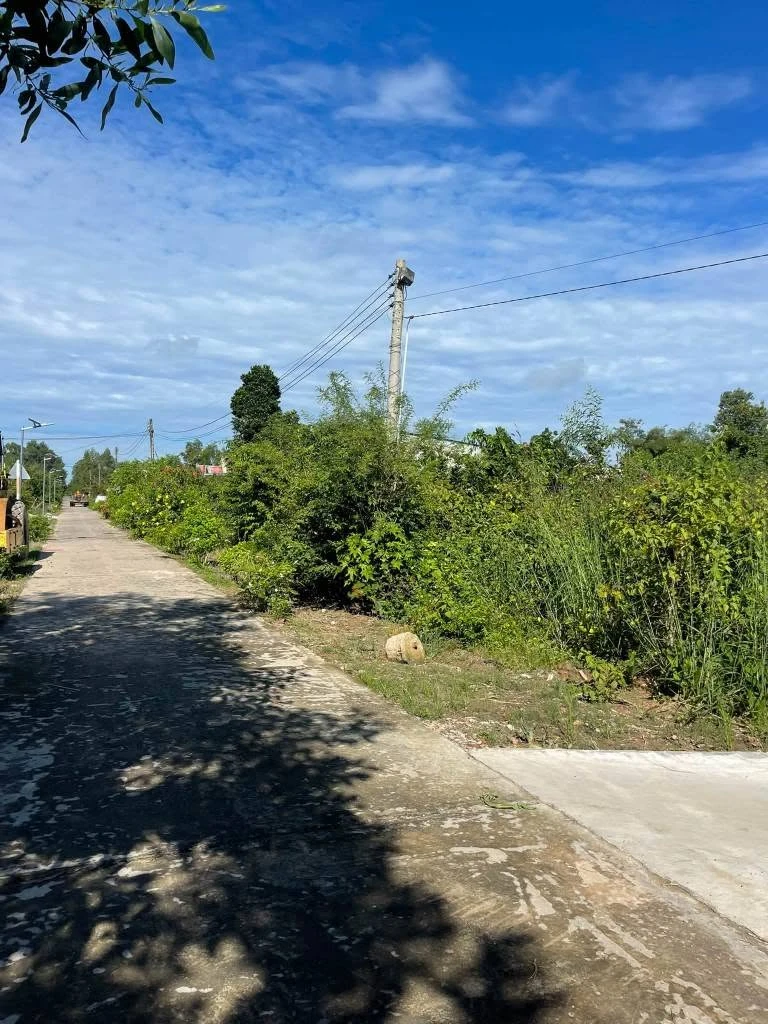 Bán đất nền Phú Hòa Định Quán 130m² giá 350 triệu - Ảnh thu nhỏ 2