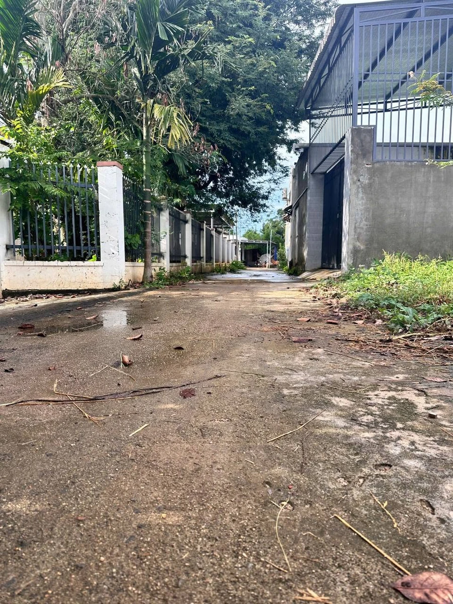 Bán đất 145m² gần chợ Ea Kao, Đắk Lắk, 1 tỷ 190 - Ảnh thu nhỏ 3