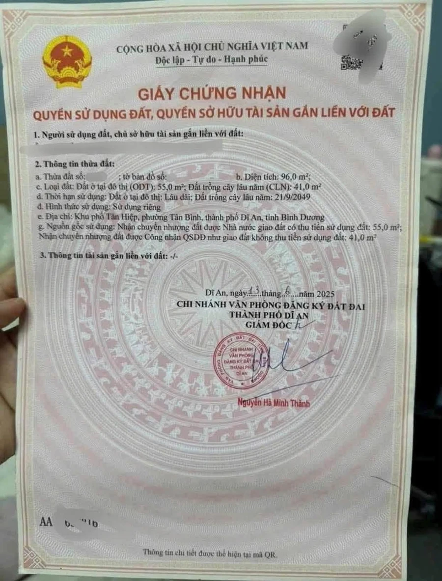 Bán đất SHR mặt tiền Trương Văn Vĩnh 96m² Dĩ An - Ảnh thu nhỏ 4