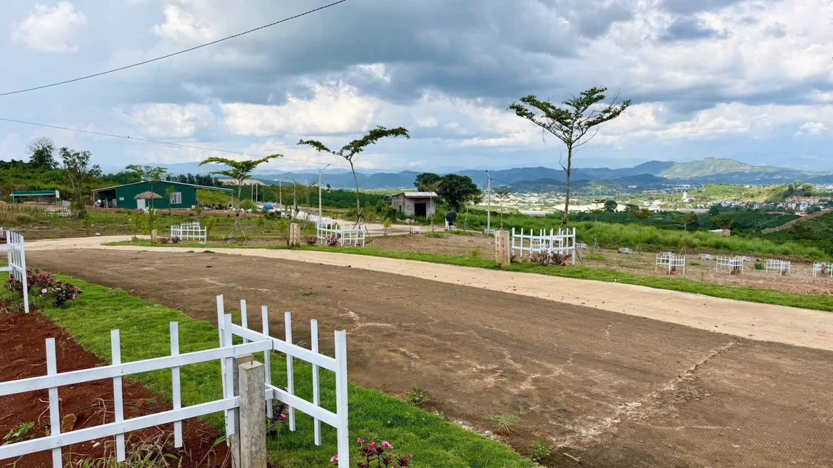 Bán đất thổ cư 6x24 giá 299 triệu tại Đinh Văn, Lâm Hà, Lâm Đồng - Ảnh 1