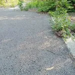 Bán đất 4.395m2 cây lâu năm mặt tiền 33m đường nhựa tại Phú An, Bến Cát - Ảnh thu nhỏ 3