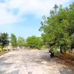 Bán lô đất 1.537m² mặt tiền đường Tỉnh Lộ 826, Cần Đước, Long An - Ảnh thu nhỏ 3