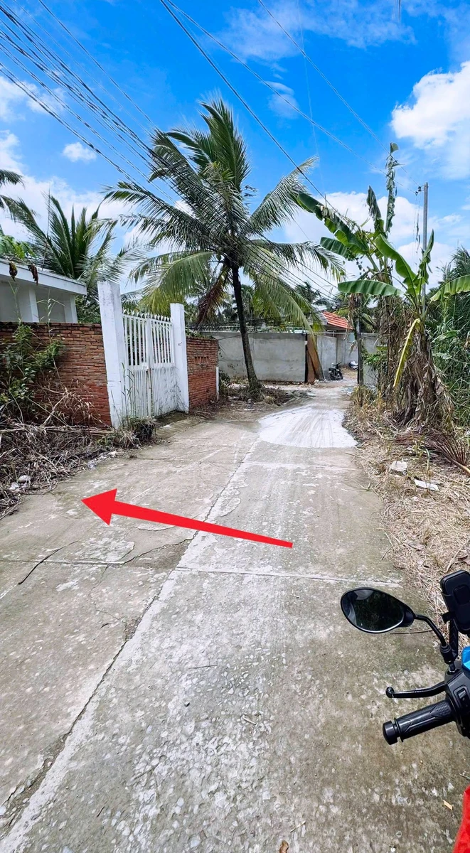 Bán nền 5×22m 110m² 790 triệu Bình Chánh - Ảnh thu nhỏ 2