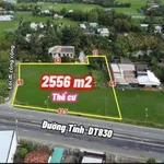 Bán đất 2560m² mặt tiền Mỹ Lệ, Tây Ninh - Ảnh thu nhỏ 2
