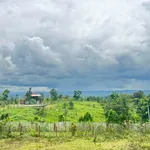 Bán đất 2 hecta Eakao Buôn Mê Thuột, 400 triệu/sào - Ảnh thu nhỏ 5