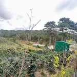 Bán đất 1750 m² tặng 2 căn nhà Khu Măng Lin Đà Lạt - Ảnh thu nhỏ 3
