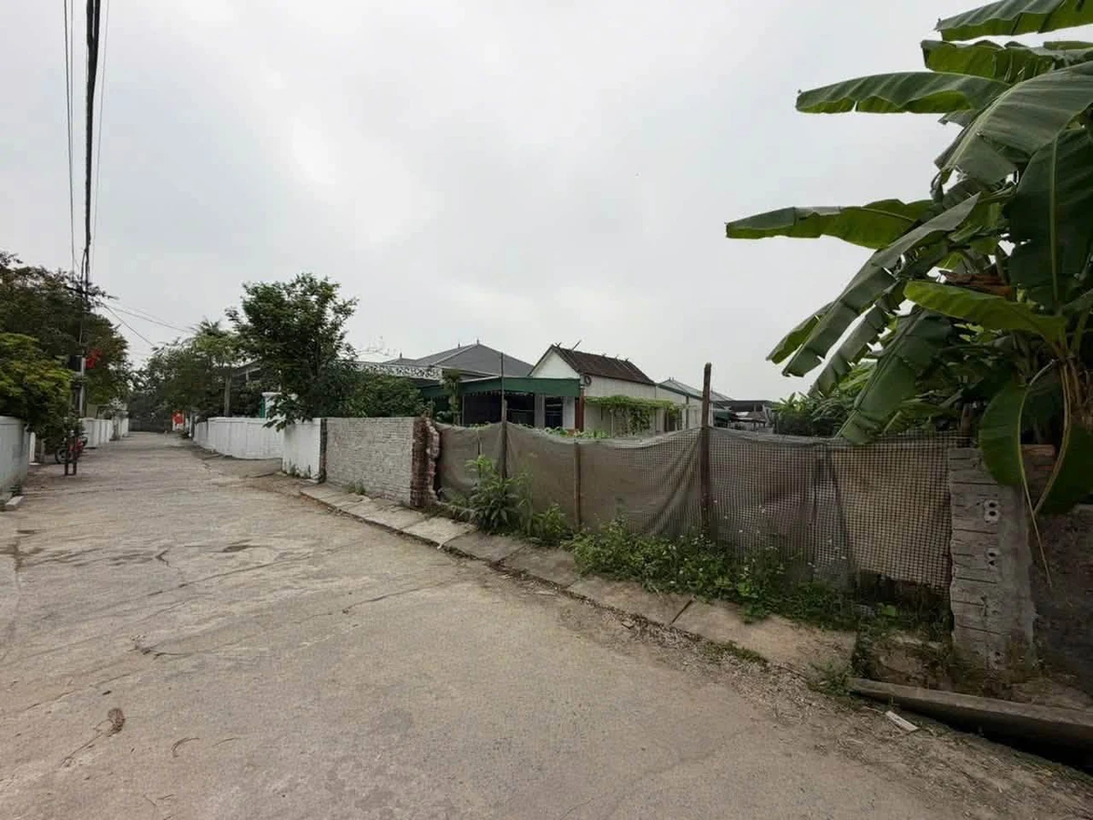 Bán lô đất 150m2 tại thị trấn Quán Hành, giá 2.8 tỷ - Ảnh thu nhỏ 3