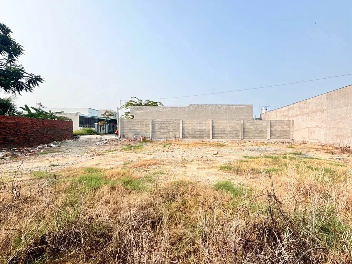 Bán lô đất 537m² xây biệt thự, nhà vườn Long Điền - Ảnh thu nhỏ 3