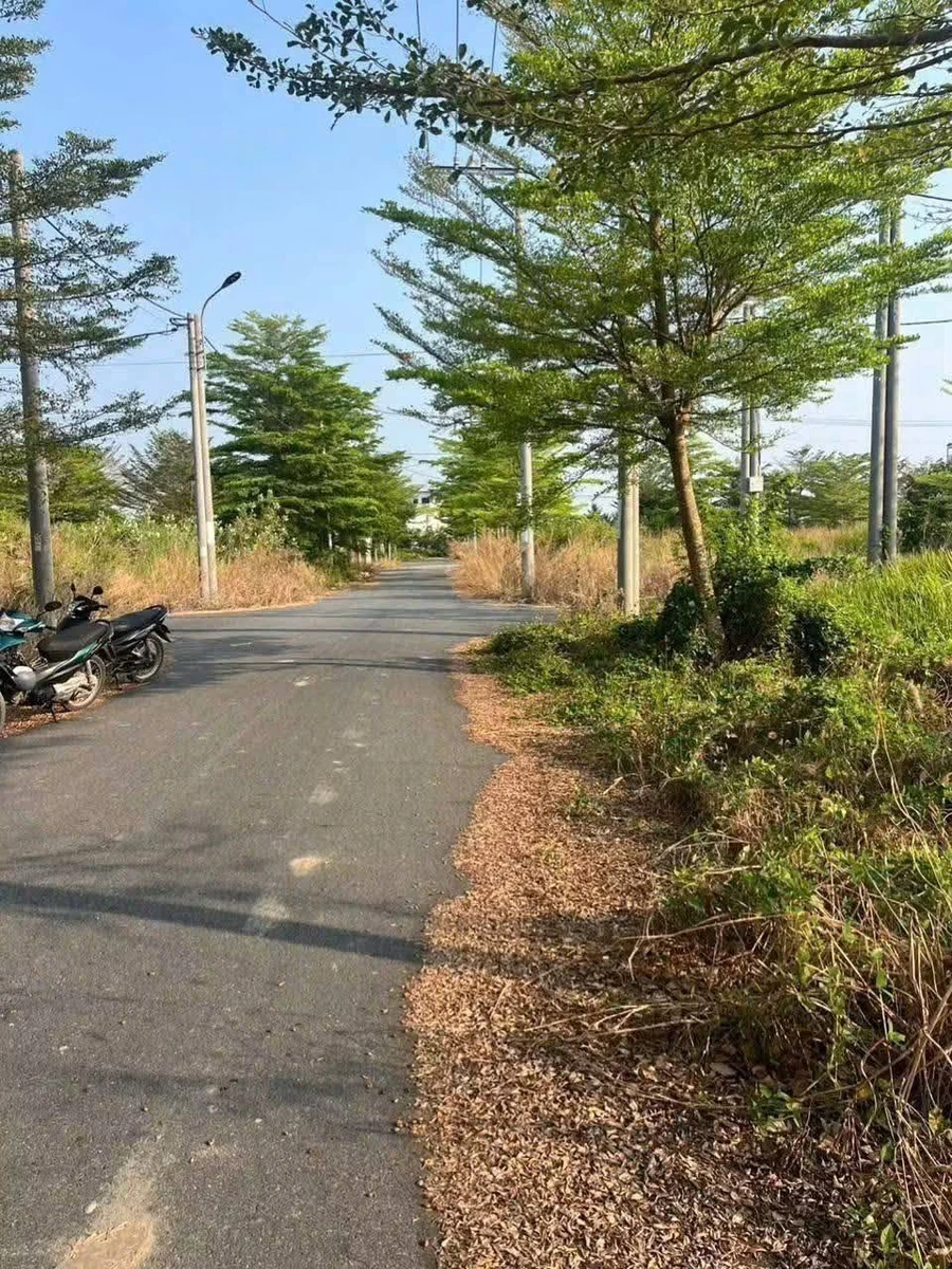 Bán đất thổ 64m2 (4x16) KDC Tân Lân Residen giá 650 triệu - Ảnh thu nhỏ 2