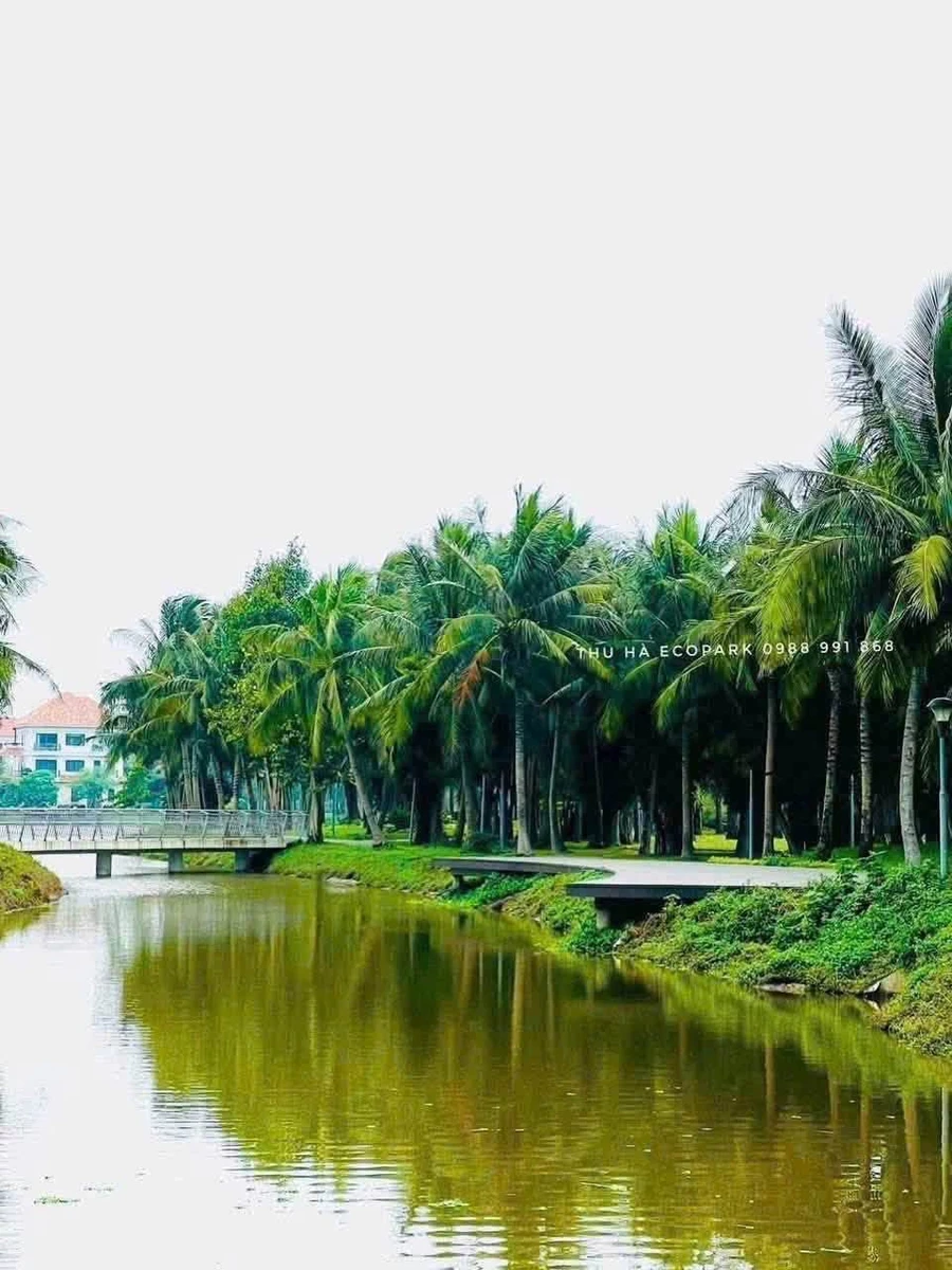 Bán căn góc 3 PN 84m² view công viên Ecoriverside Hải Dương - Ảnh thu nhỏ 3
