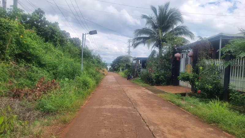 Bán 2 hectare đất đỏ Bù Đăng, mặt tiền QL 14