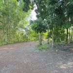 Bán lô đất 500m² gần hồ Trị An, Đồng Nai, 450 triệu - Ảnh thu nhỏ 3
