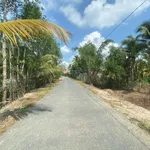 Bán đất tại xã Phú Quới, huyện Long Hồ, Vĩnh Long, giá siêu hời 3,9 tỷ, 1169,2 m2 - Ảnh thu nhỏ 8