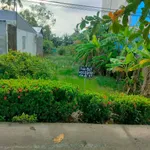 Bán đất nền ngang 8m dài 30m có thổ cư tại Kinh Dài Tây, An Giang - Ảnh thu nhỏ 1