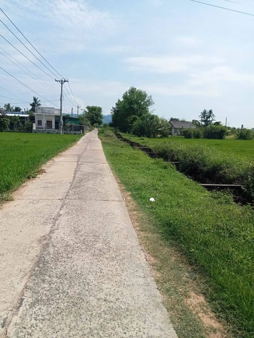 Bán đất 1000m2 mặt đường Hàm Trí Bình Thuận 3xx triệu - Ảnh 1