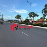 Bán nền mặt tiền Trần Hưng Đạo Cà Mau 1.432m² - Ảnh thu nhỏ 1
