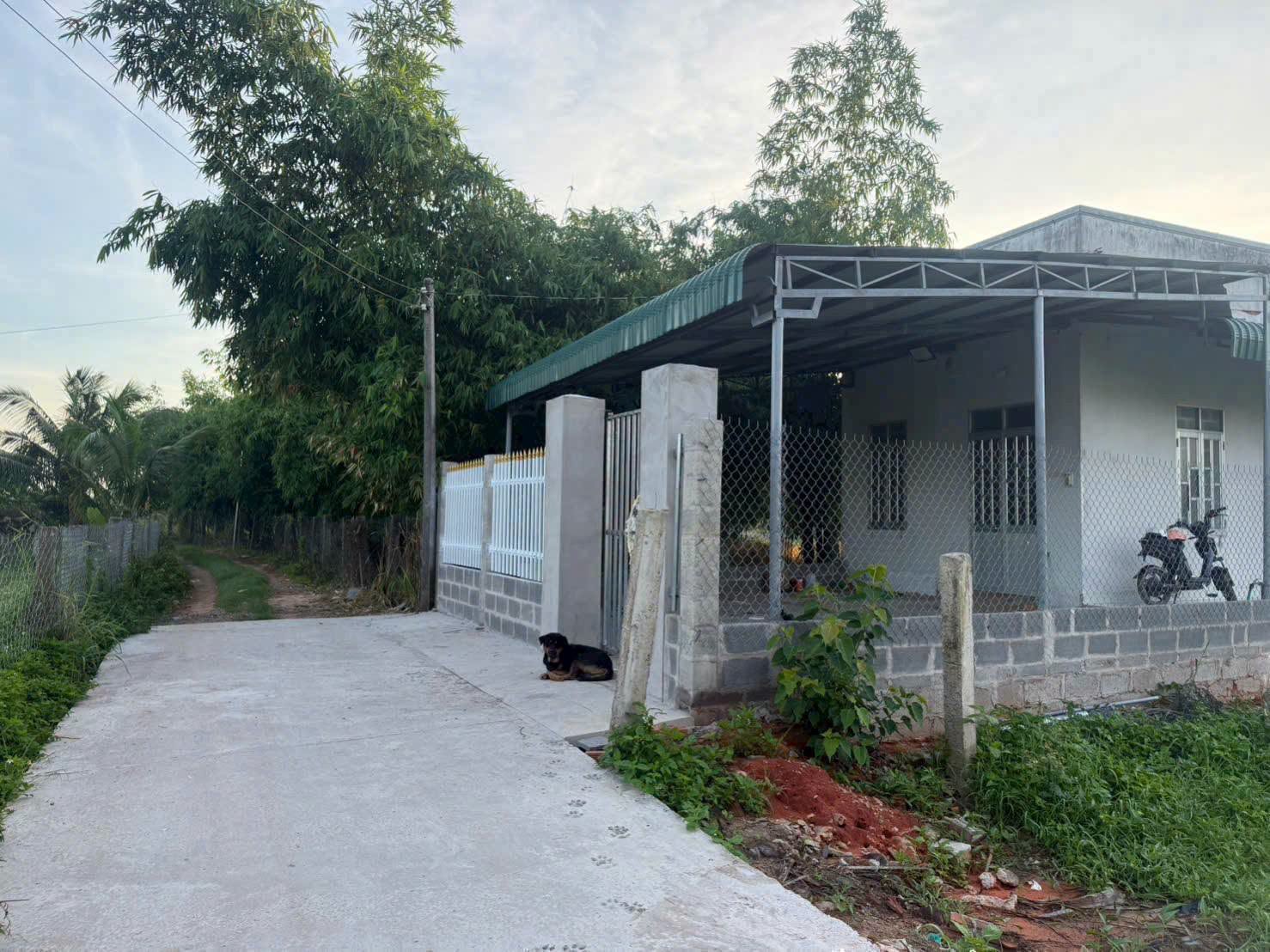 Bán đất thổ cư 100m2 mặt tiền Hàm Liêm Kiên Giang - Ảnh thu nhỏ 3