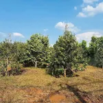 Bán đất thổ cư 500m² Buôn Ma Thuột, Đắk Lắk - Ảnh thu nhỏ 4