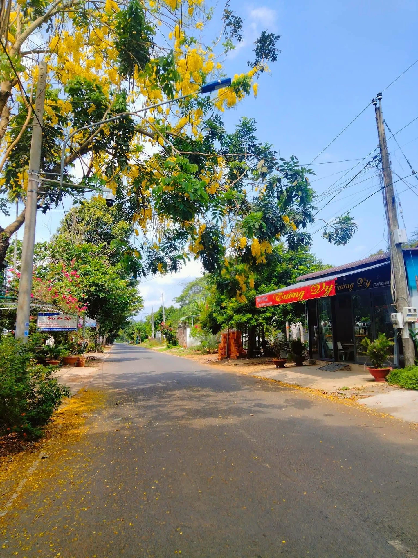 Bán đất 2 mặt tiền Đạm Ri, Lâm Đồng - 2,7 tỷ - Ảnh 1