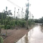 Bán đất thổ cư 100m2 góc 2 mặt tiền Lâm San Cẩm Mỹ 12 tỷ - Ảnh thu nhỏ 3