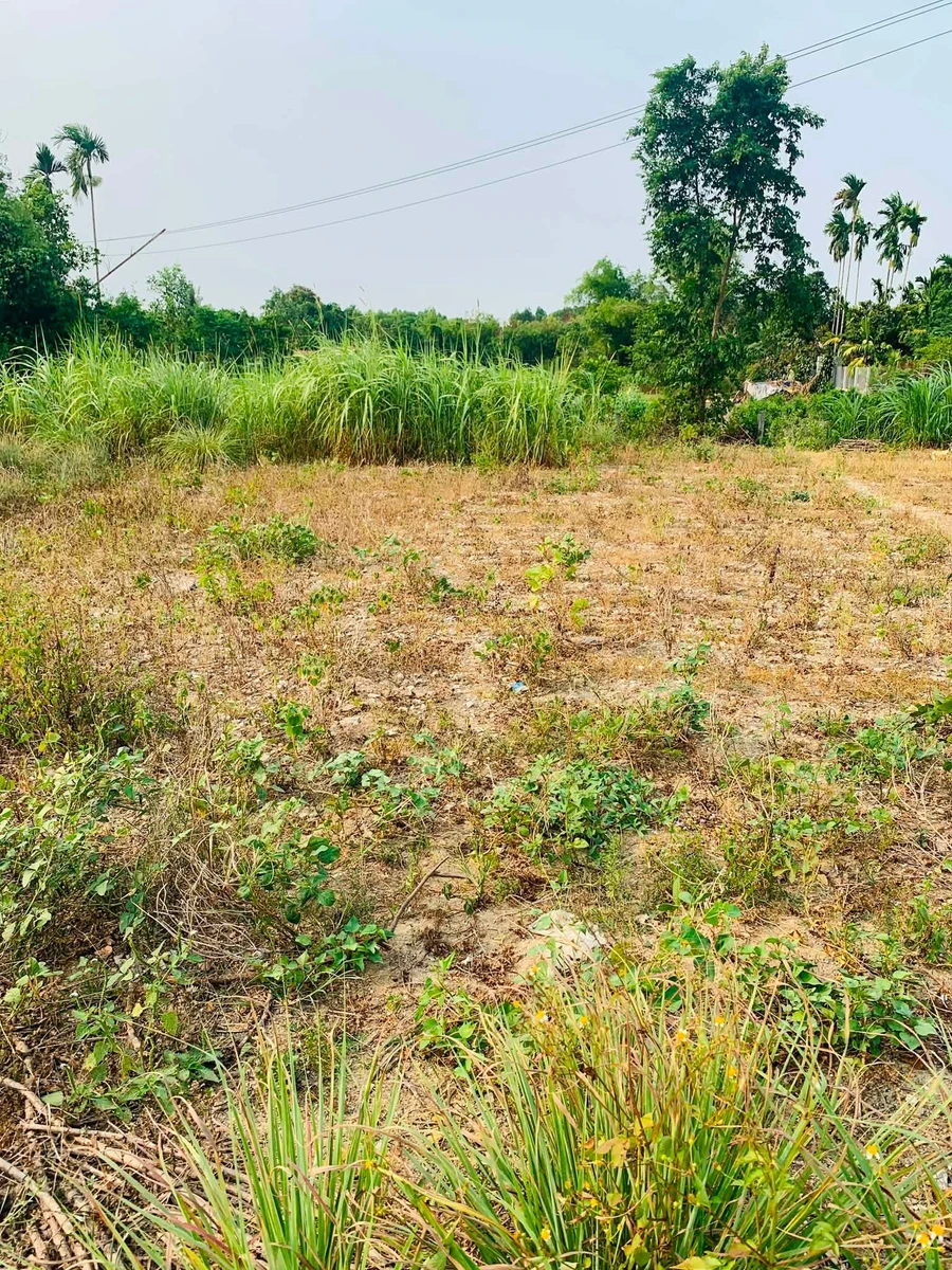 Bán đất 5x24m (120m²) Nghĩa Thuận Nhà Bè - 290 triệu - Ảnh thu nhỏ 2