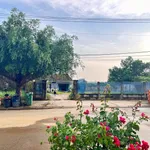 Bán đất 2 mặt tiền 672m² Thạnh Phước, Tân Uyên, Bình Dương 4 tỷ - Ảnh thu nhỏ 1