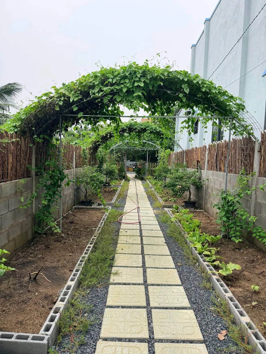Bán nhà sân vườn 900m² 2PN Tây Ninh 3tỷ600tr - Ảnh thu nhỏ 4