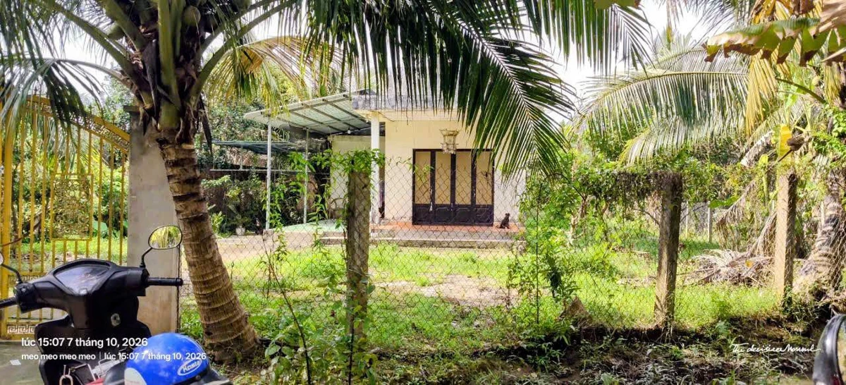 Bán nhà và đất 1000m2 tại Xã Tân Thạch, Tiền Giang 750 triệu - Ảnh 1