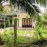 Bán nhà và đất 1000m2 tại Xã Tân Thạch, Tiền Giang 750 triệu - Ảnh thu nhỏ 1