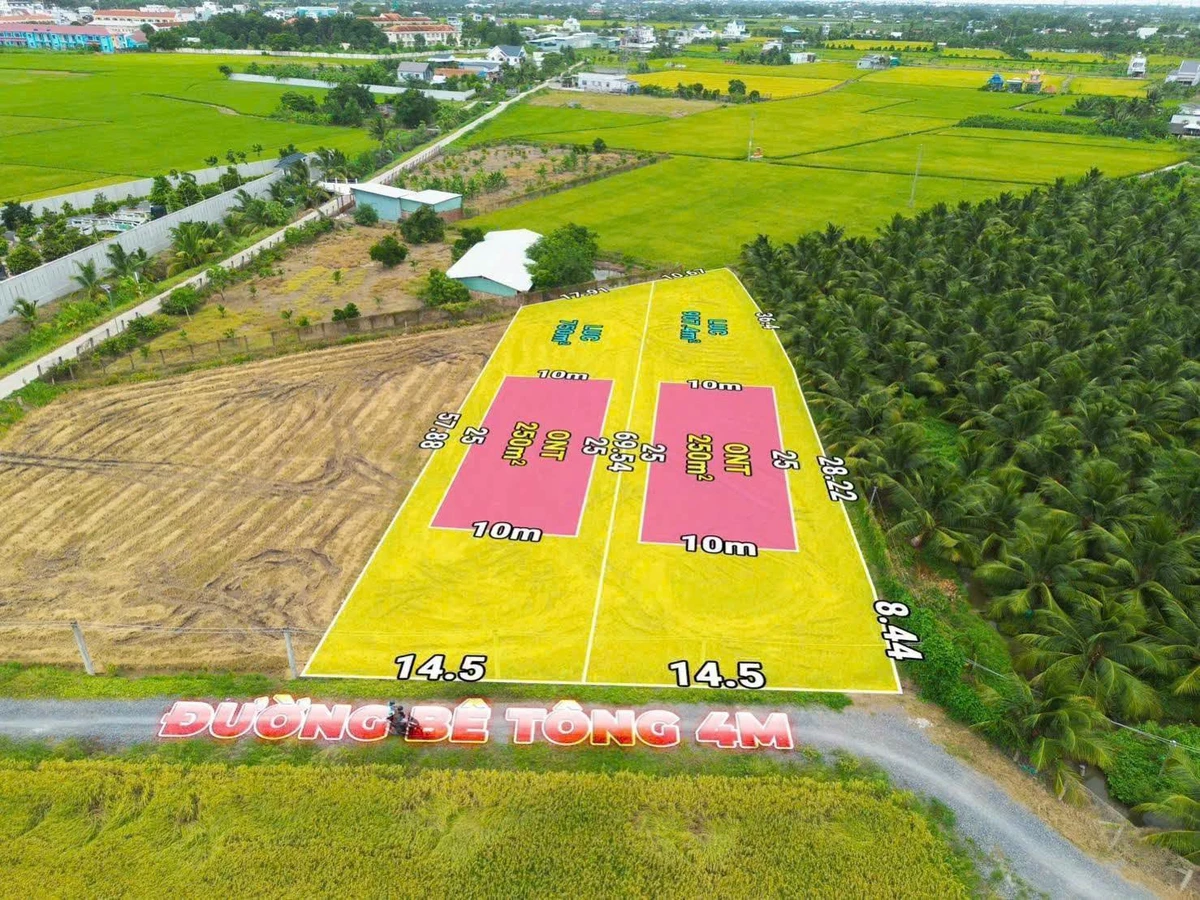 Bán 1.000m2 đất thổ cư và đất lúa gần ngã tư Lạc Tấn, giá 1,25 tỷ - Ảnh thu nhỏ 4