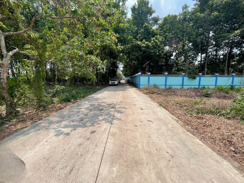Bán đất nền 359.9m² Tân Thành, Bắc Tân Uyên, Bình Dương 2.5 tỷ