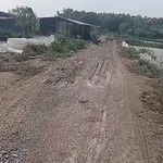 Bán đất 8500m² giá 1 tỷ 20 triệu Ba Tri Bến Tre - Ảnh thu nhỏ 2