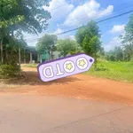 Bán đất mặt tiền 31m x 100m (3.100m²) Tân Châu, Tây Ninh - Ảnh thu nhỏ 1