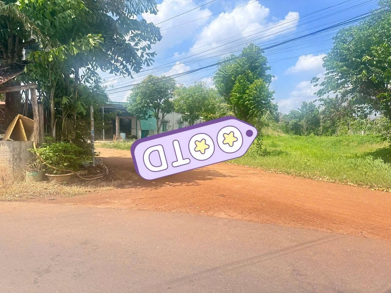 Bán đất mặt tiền 31m x 100m (3.100m²) Tân Châu, Tây Ninh - Ảnh 1