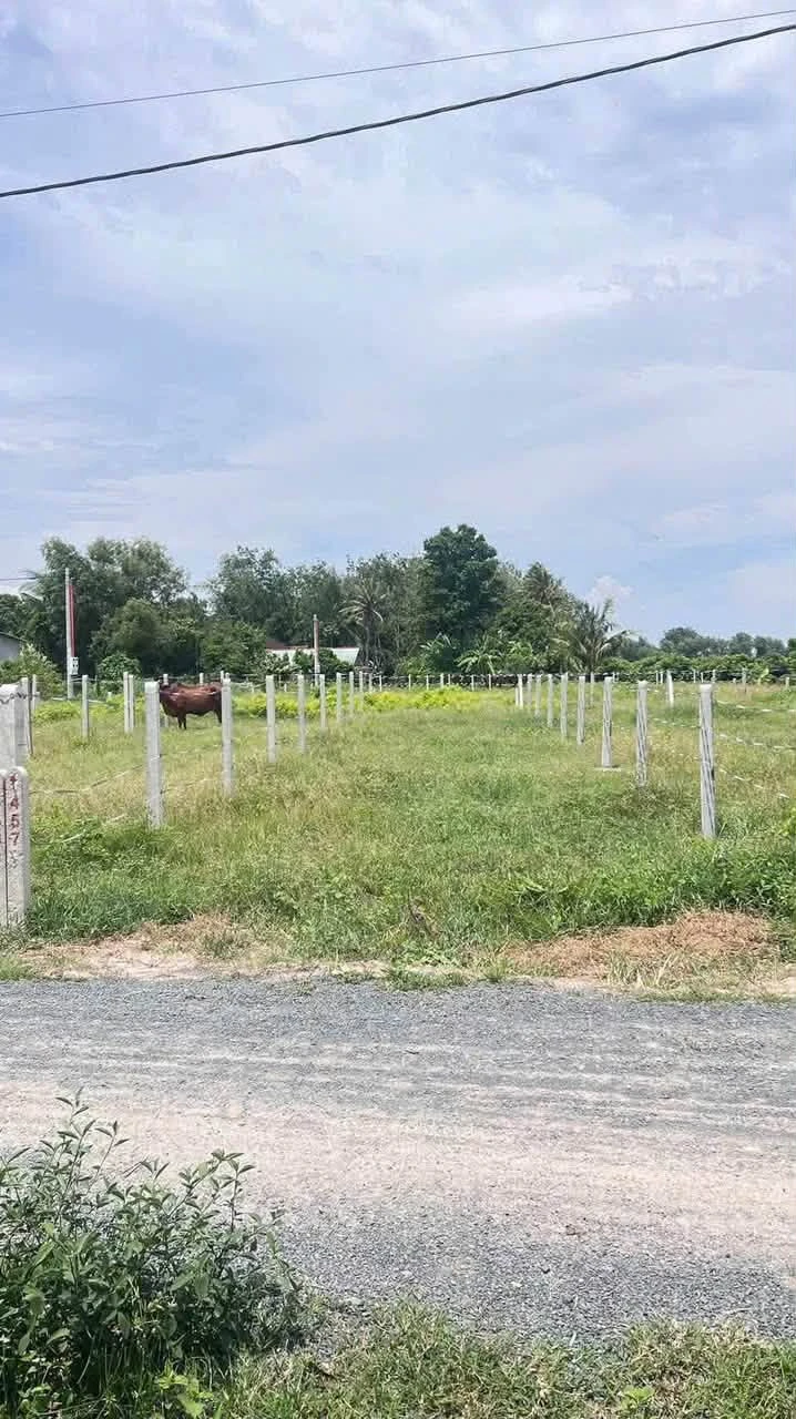 Bán đất thổ cư 150m² Tây Ninh 229 triệu - Ảnh 1