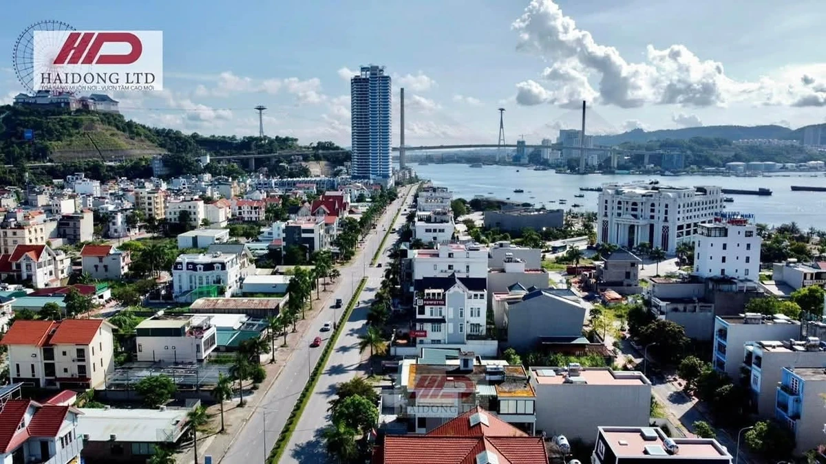 Bán đất mặt đường Trần Thái Tông Hạ Long 375m2, 37 tỷ - Ảnh 1