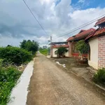 Bán đất 174m² Đà Lạt 599 triệu - Ảnh thu nhỏ 5