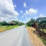 Bán lô đất 200m² Phường Gia Lộc Tây Ninh 1 tỷ 350 triệu - Ảnh thu nhỏ 3